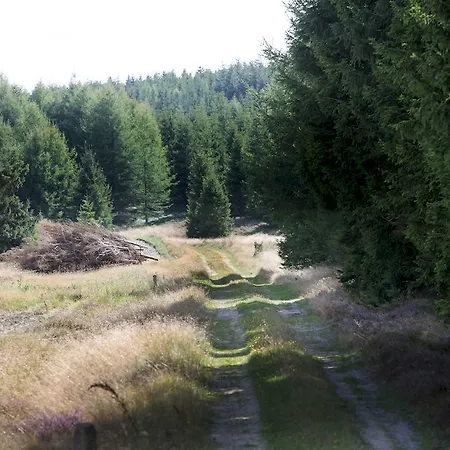 Hotel Dancamps Hampen